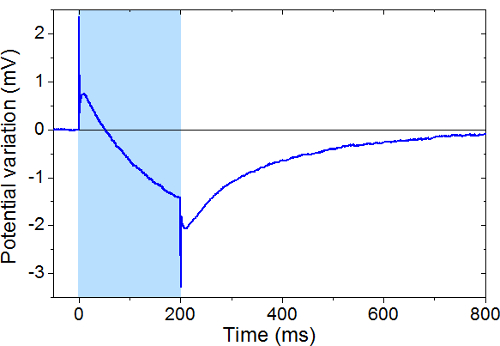 Figure 5