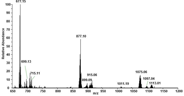 Figure 5