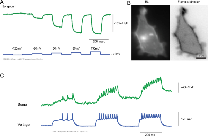 Figure 4