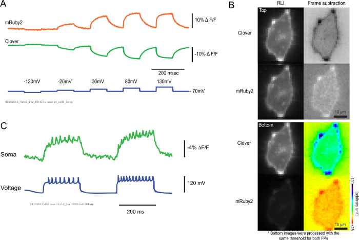 Figure 5