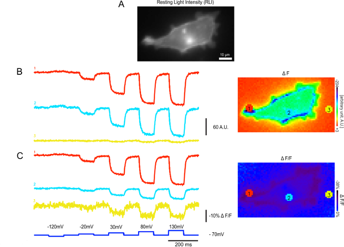 Figure 6