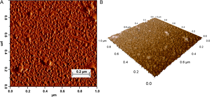 Figure 11