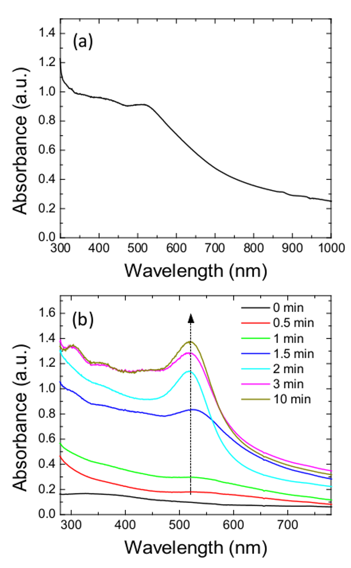  Optical properties. (A) UV-vis absorbance spectra of the hybrid Fe2O3-Au nanoparticles, showing the broad visible light absorbance of Fe2O3and the plasmonic peak attributed to the Au nanoparticles near 530 nm. (B) The UV-vis absorbance spectra of the reactant solution at various times during the reaction, showing the LSPR absorbance arising from AuNP formation in the solution and on the Fe2O3 nanoparticles. 