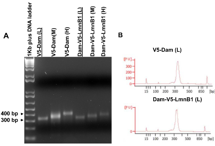 Figure 5