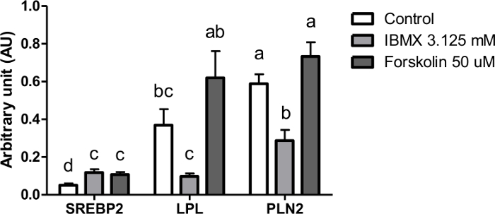 Figure 5