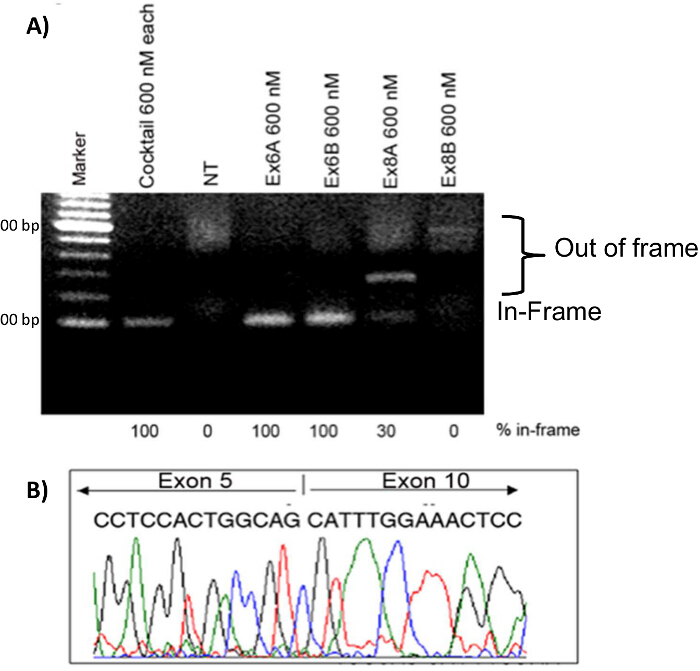 Figure 7