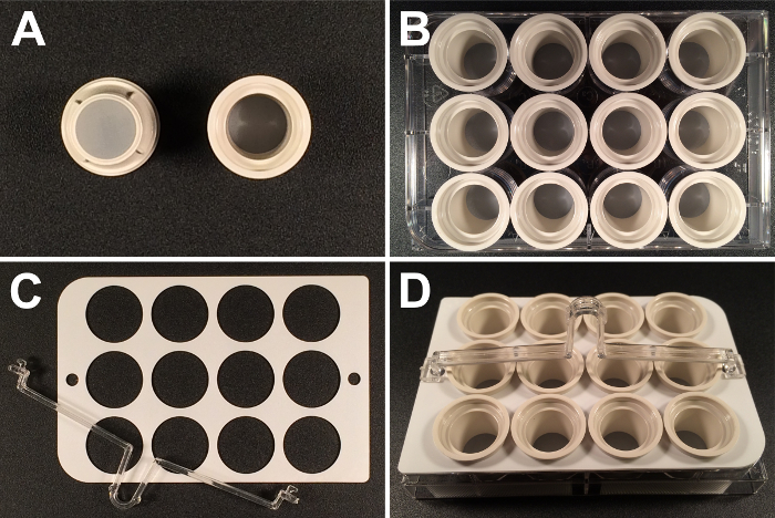 Figure 2