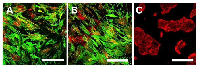 Figure 14