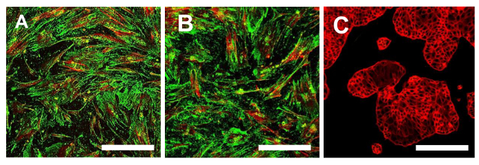 Figure 15