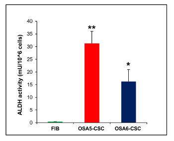 Figure 22