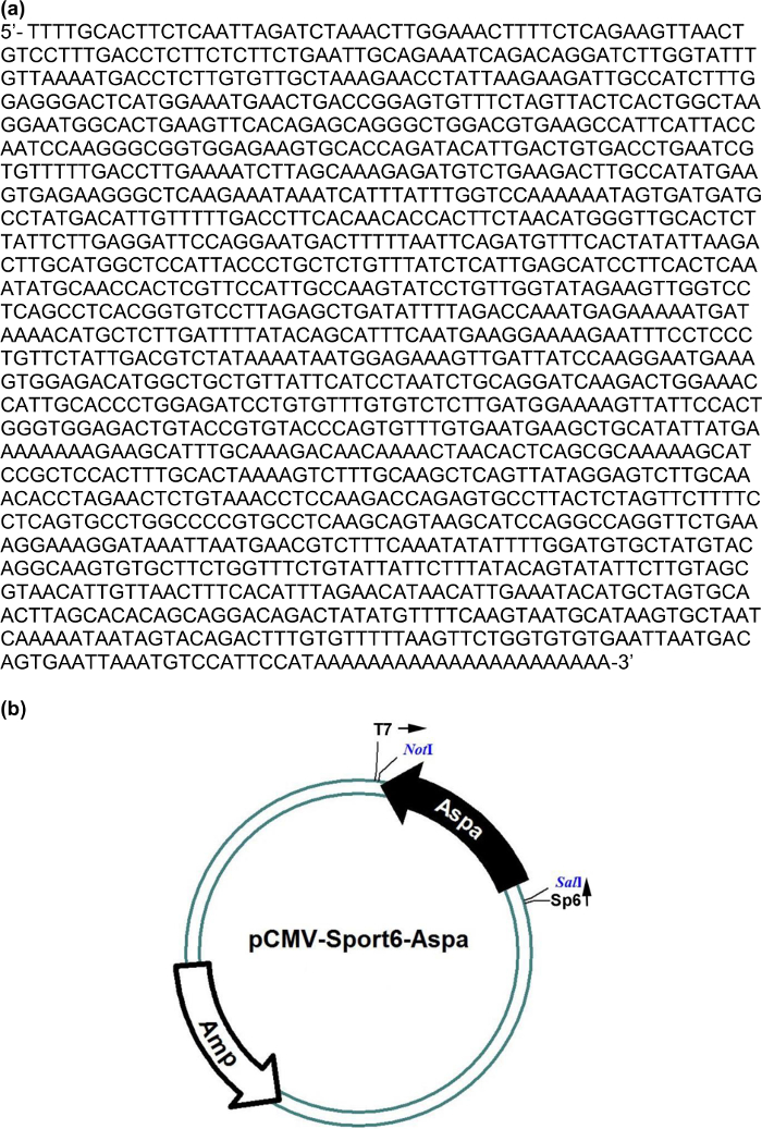 Supplemental Figure 1