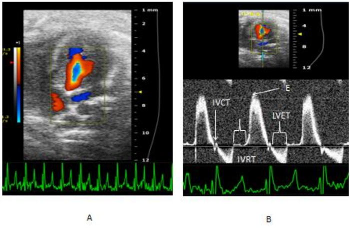 Figure 10