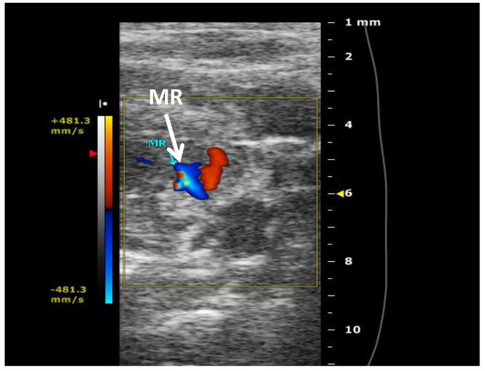 Figure 5