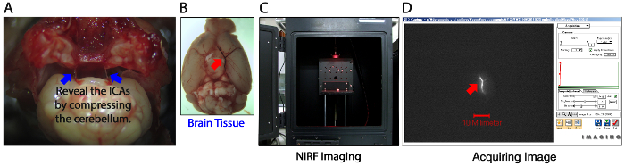 Figure 4