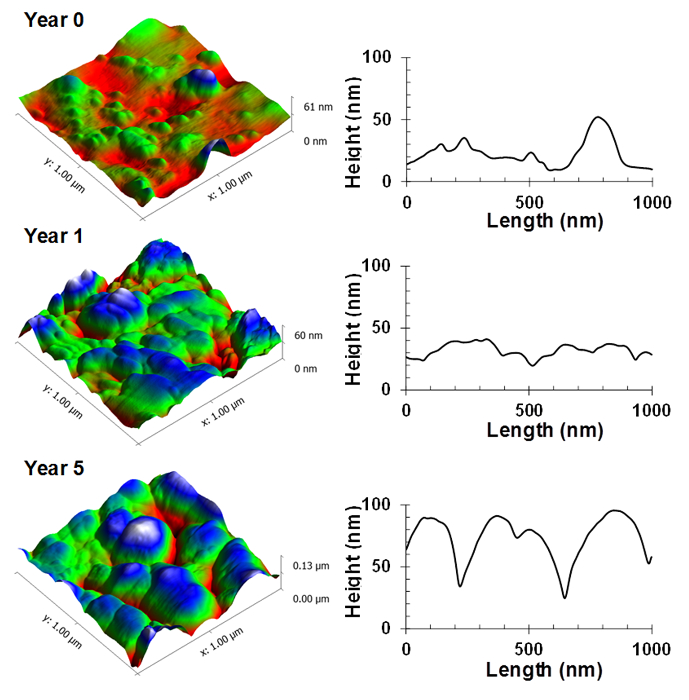 Figure 6