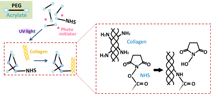 Figure 32