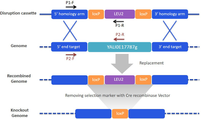 Figure 4