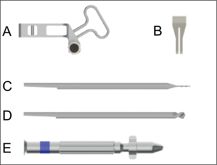 Figure 2