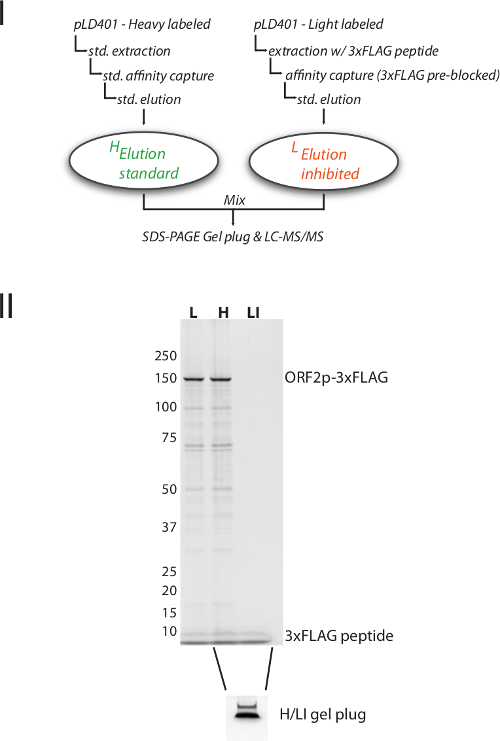 Figure S1