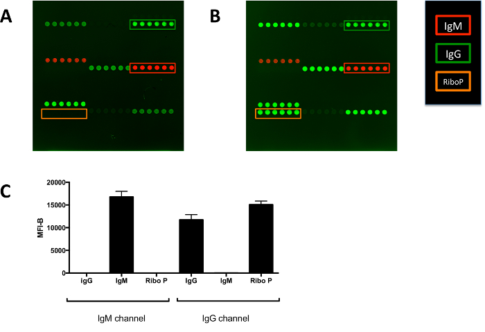 Figure 6