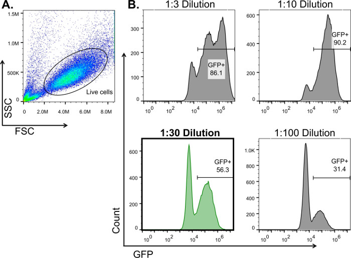 Figure 2