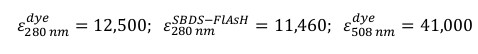 Equation1B