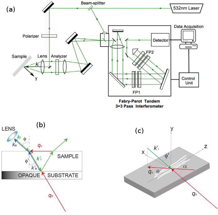 Supplemental Figure 1