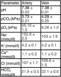 Table 2