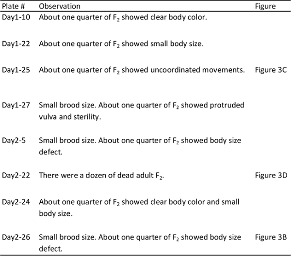 Table 2