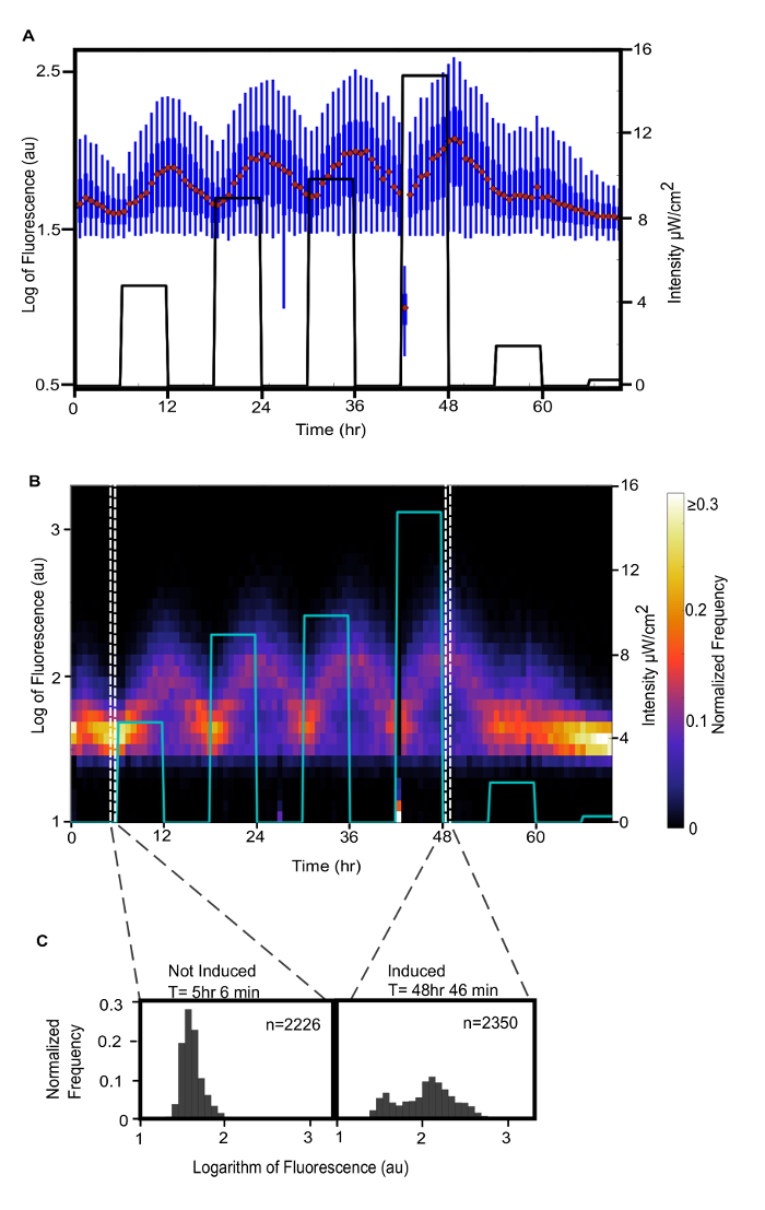 Figure 9