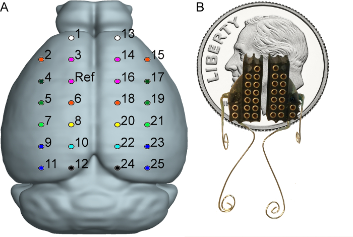 Figure 2