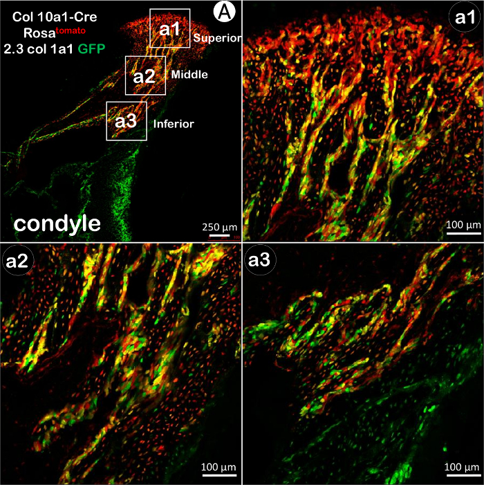 Figure3