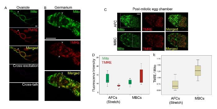 Figure 6