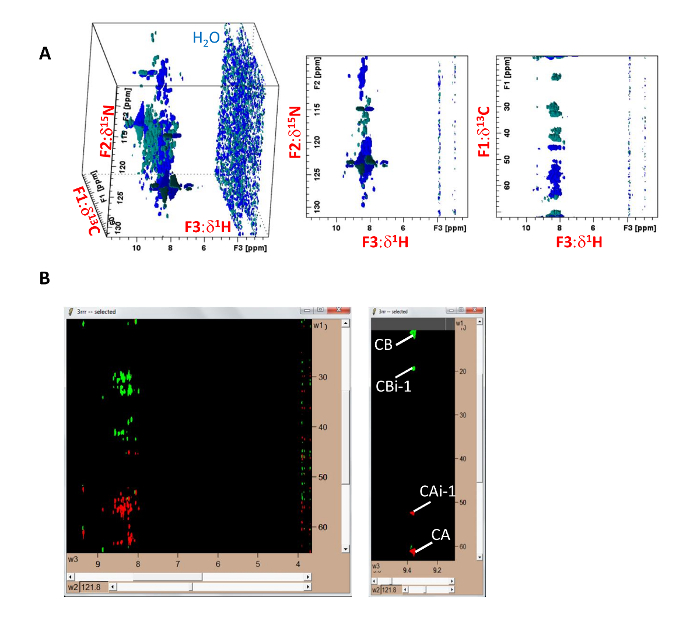 Figure 10