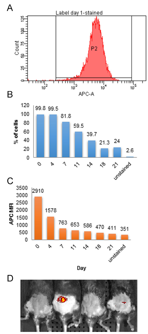 Figure 4