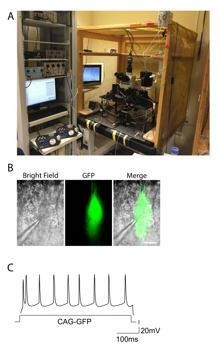 Figure 2