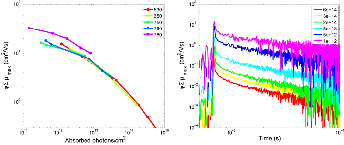 Figure 11