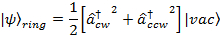 Equation 1