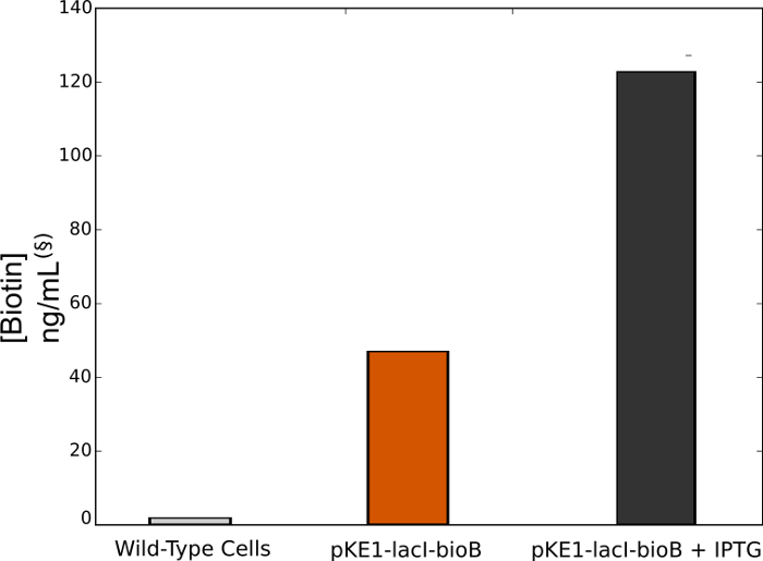 Figure 5