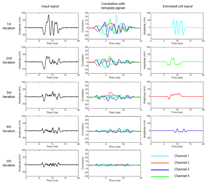 Figure 5