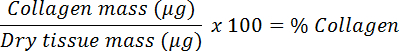 Equation 2