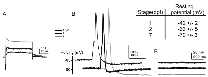 Figure 5