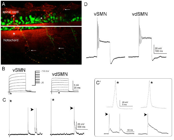 Figure 7