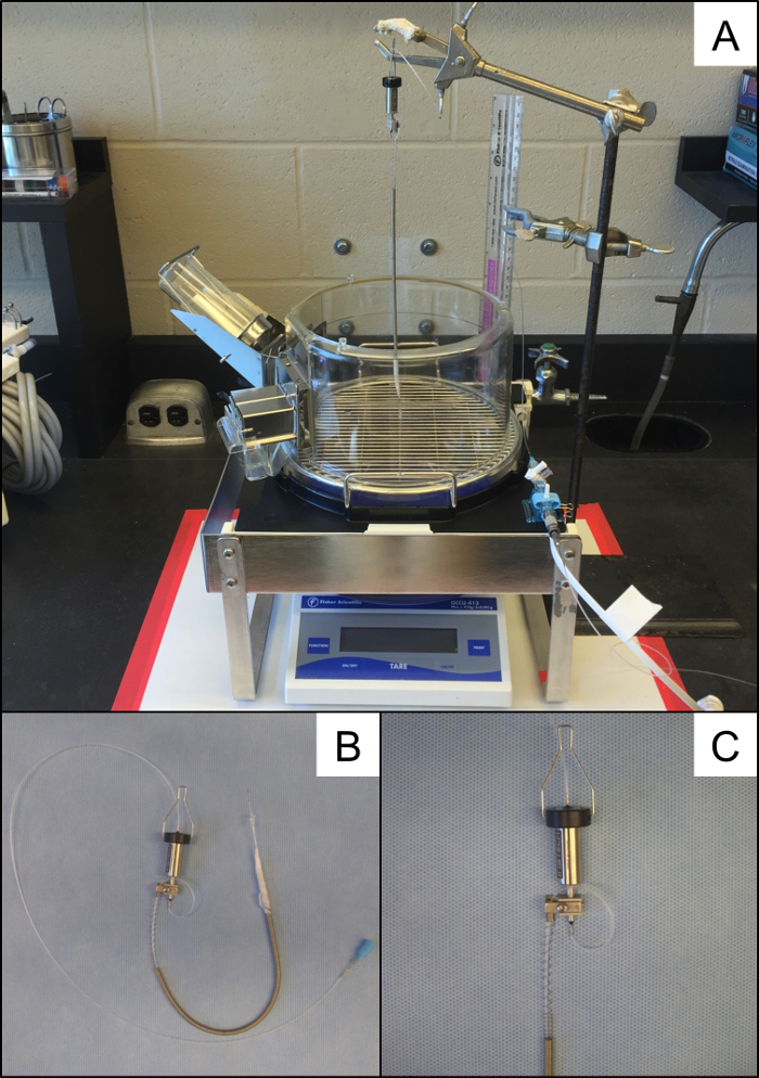 Figure 7