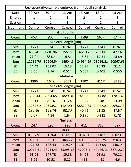 Table 2