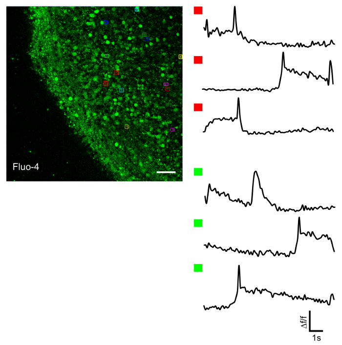 Figure 5