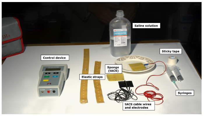 Figure 1