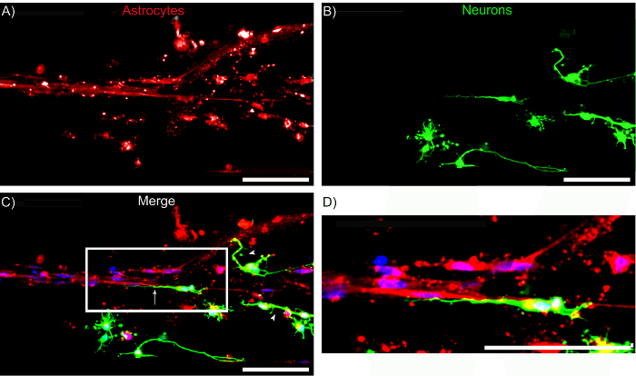 Figure 12