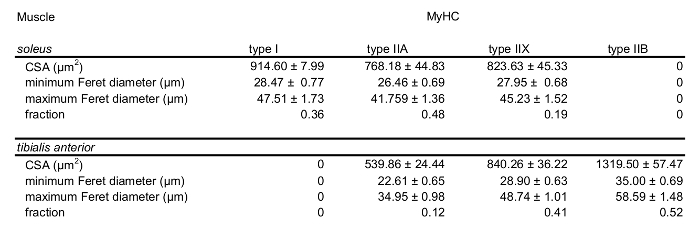 Table 4