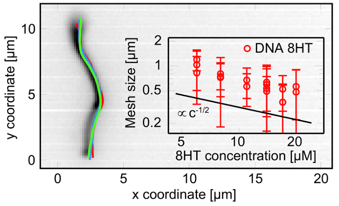 Figure 10